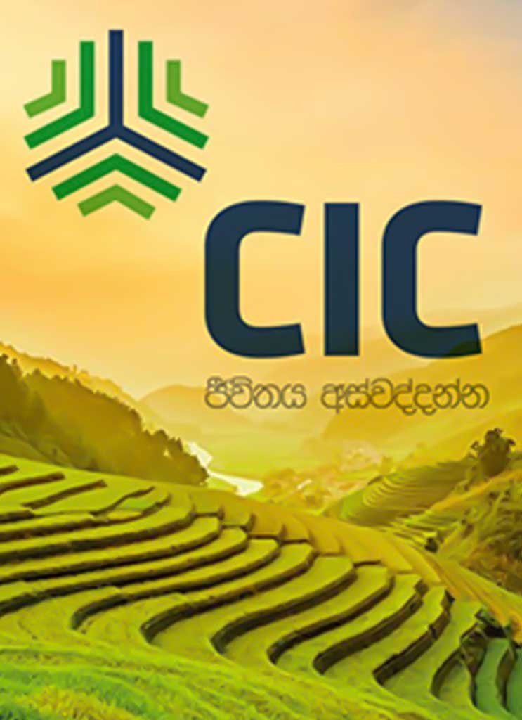 CIC
